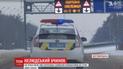 Убивство собак шокувало житомирських поліцейських