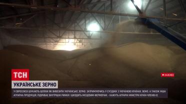 Європа блокує ввезення українського зерна