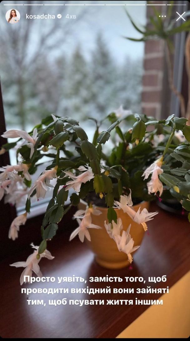 Пост Екатерины Осадчей / © instagram.com/kosadcha