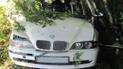 На Рівненщині BMW протаранив вантажівку і вилетів з дороги, загинула 7-річна дівчинка