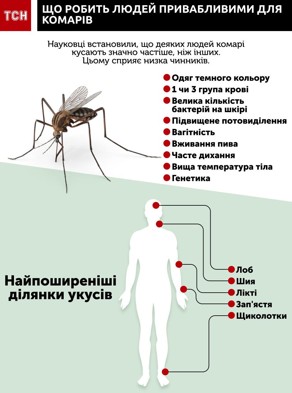Сколько укусов комаров. Комар.