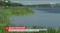 Дніпро покрився ціанобактеріями у вигляді синьо-зелених водоростей