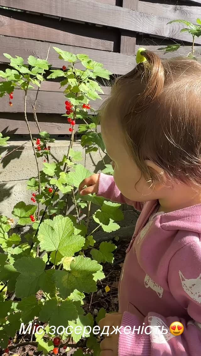 Бортсерік секс