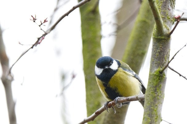 Народні прикмети 19 березня / © unsplash.com