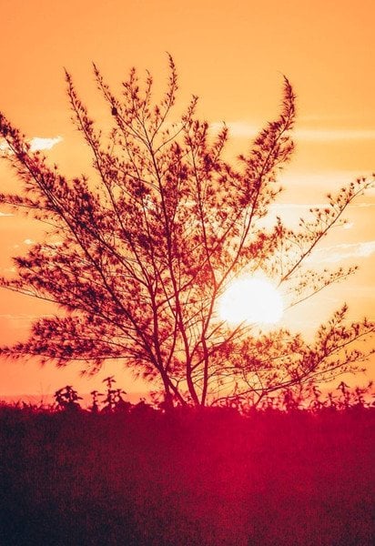 Який день ангела 12 серпня