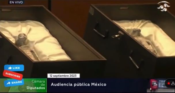Два мумифицированных экземпляра были найдены в Куско, Перу, прежде чем были доставлены в столицу Мексики.
