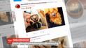 Флешмоб "Сфотографируй лапки собачки", конец света и соседские войны - новости онлайн-трансляции