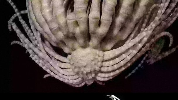 Фото: Greg W. Rouse