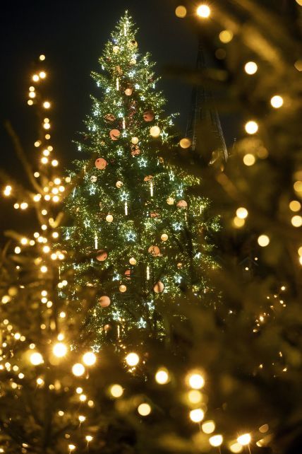 Батл главных елок Европы продолжается: самые красивые новогодние деревья