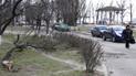 На Львівщині штормовий вітер валить дерева