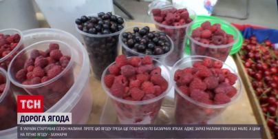 Малиновий бізнес під час війни: ціни – космічні
