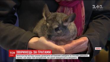 Ув'язненим можуть дозволити заводити домашніх тварин просто у колоніях