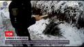 Новости Львова: патрульные задержали 60-летнюю женщину, спилившую молодую елку