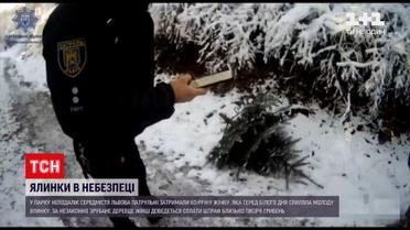 Новости Львова: патрульные задержали 60-летнюю женщину, спилившую молодую елку