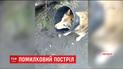 На Рівненщині депутат замість вовка збив породистого собаку