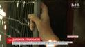 Волонтери облаштовують притулок для стареньких, яких покинули власні діти