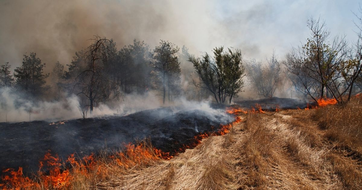 Пожежа почалася через загоряння сухої трави
