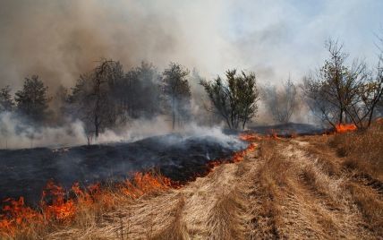 Небезпечно для тварин і людей: у Львівській ОДА закликали не спалювати суху траву