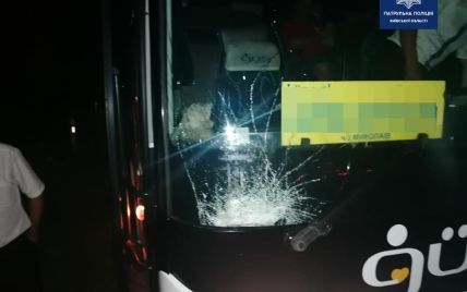 На трассе Киев-Одесса водитель автобуса сбил лося