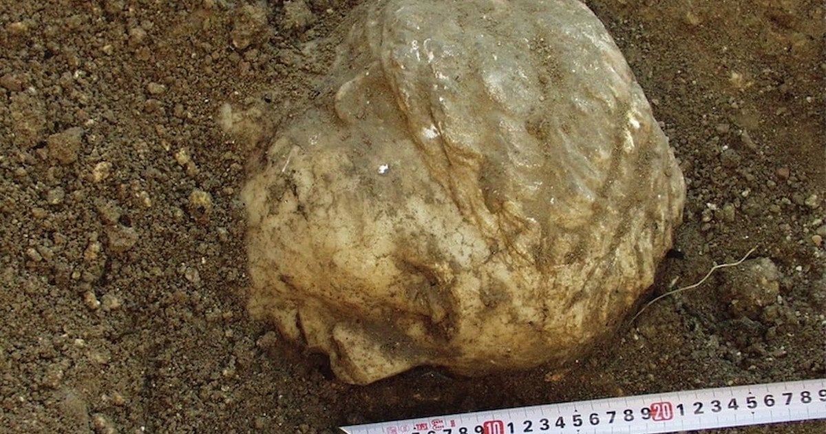 Артефакт раскопан в Крыму в 2003 году. Фото: A.B. Biernacki, Klenina et al., npj Heritage Sci., 13, 400 (2025)
