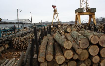 Мораторій України на експорт лісу: ЄС трактує рішення арбітражу на свою користь
