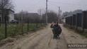 Под Львовом мужчину катали на санках по грязи и лужах