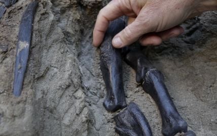 В Канаде обнаружили полный скелет динозавра, покрытый кожей (фото)