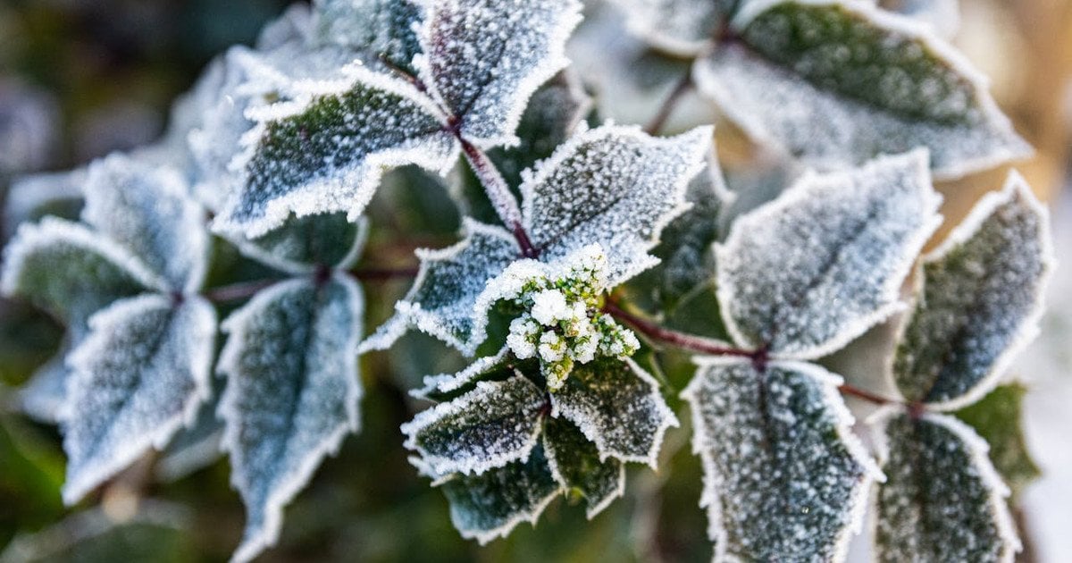 Який сьогодні, 18 січня, день ангела