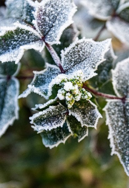 Який сьогодні, 18 січня, день ангела