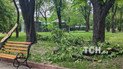 Последствия падения обломков вражеских ракет на территории Киевского зоопарка/ТСН.ua