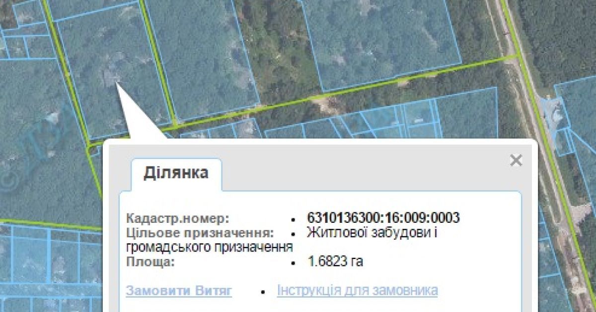 Особняк Добкина расположен посреди леса / © Наші гроші