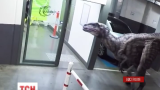 Австралійські радіо-ведучі на парковці налякали колег тиранозавром