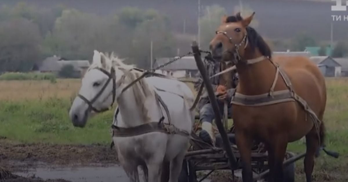 Грязь отрезала от села около 40 домов: жители обвиняют агрокомпанию, там жалуются на бобров