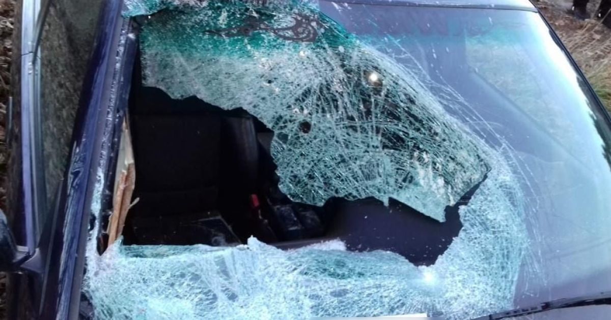 Поліція Василькова шукає водія BMW, який збив пішохода та зник з місця аварії