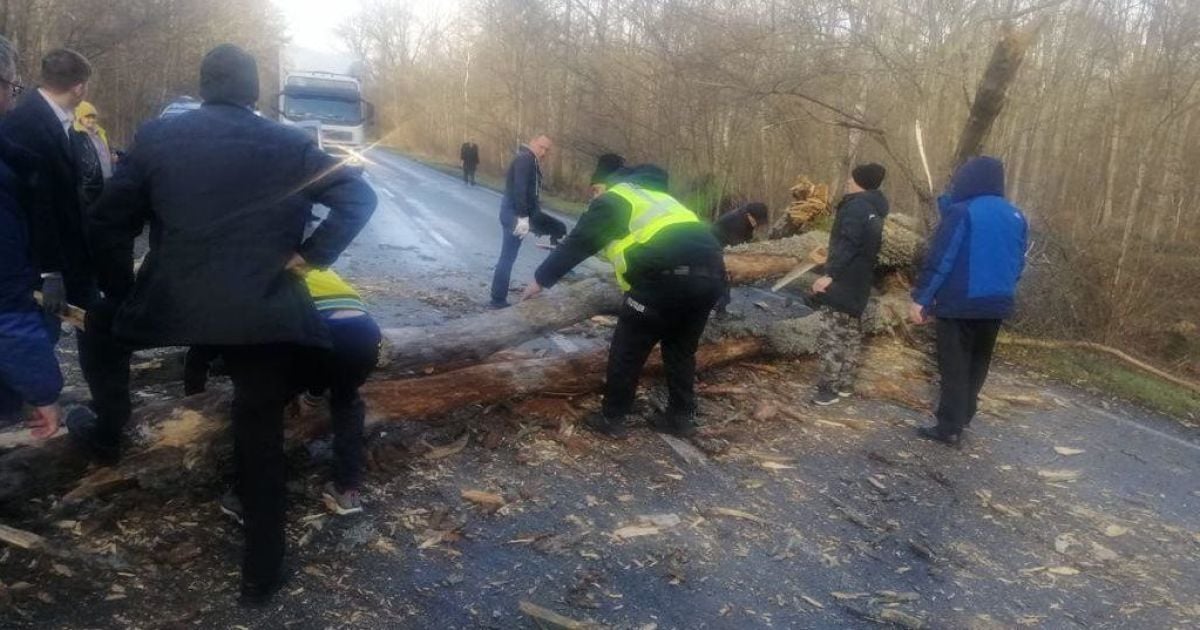 Повалені дерева та заблокована траса: у Чернігівській області лютує буревій (фото)