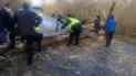 Поваленные деревья и заблокированная трасса: в Черниговской области свирепствует ураган (фото)