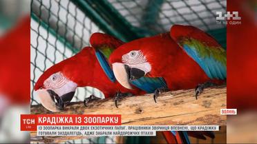 С Луцкого зоопарка похитили двух экзотических попугаев