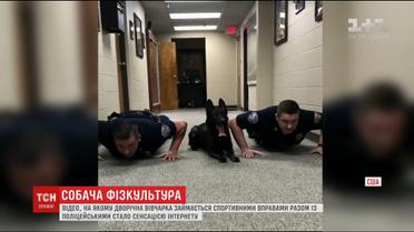 Американский пес покорил Интернет умением отжиматься вместе с офицерами