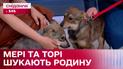 Сестрички Мері та Торі шукають родину – Кохання з першого мяу/гав