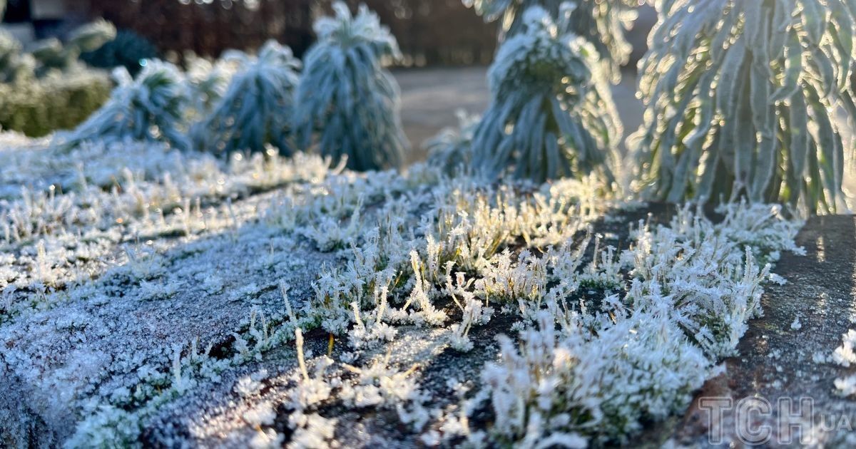 Гороскоп на 24 листопада