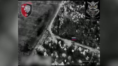 ЗСУ продовжують знищувати ворожу бронетехніку