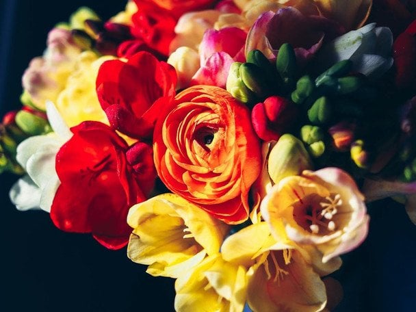 День ангела 8 квітня — душевні привітання в прозі / © pexels.com