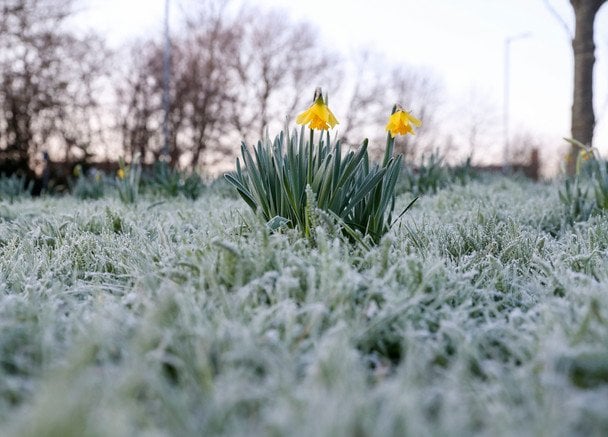 Сніг та заморозки вдарять з новою силою: в яких регіонах Україну 