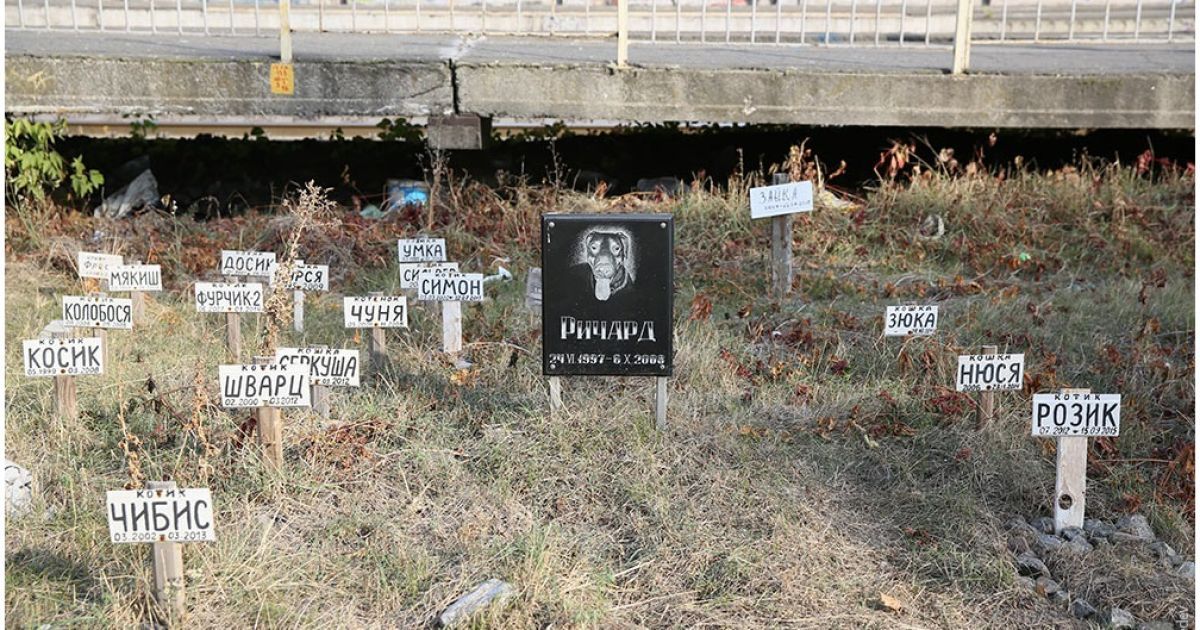Лебедев позорно высмеял кладбище