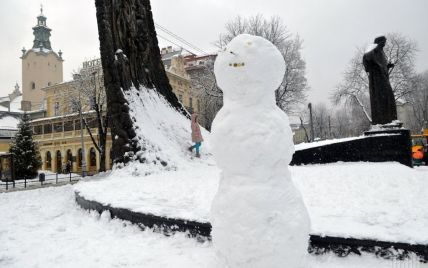 После оттепели в Украину возвращаются сильные морозы. Прогноз погоды на 16 января