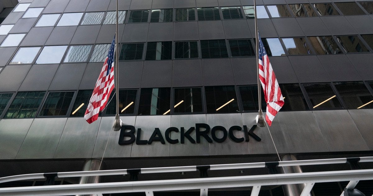 BlackRock Inc. прекратила поиск инвесторов