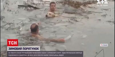 Новости мира: в Испании полиция вытащила из замерзшего озера собаку