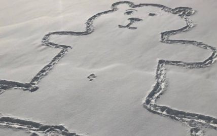 Канадцы разгадывают тайну появления пупка у нарисованного на снегу медведя