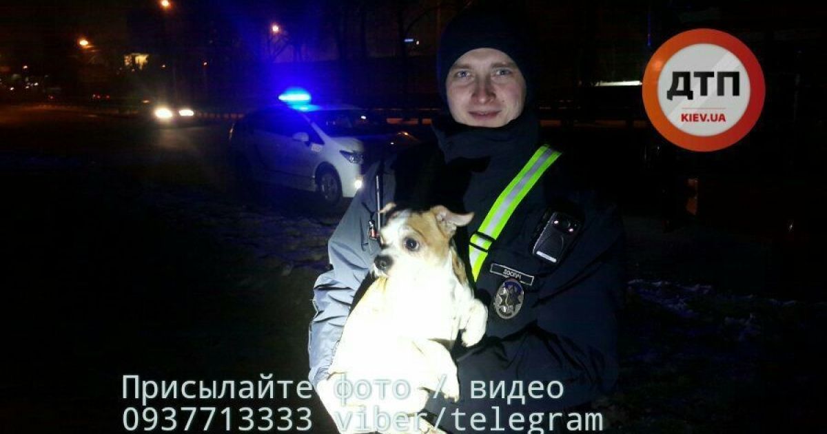 Криваве ДТП у Києві_9