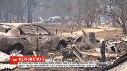 В Австралії зросла кількість загиблих під час катастрофічних лісових пожеж